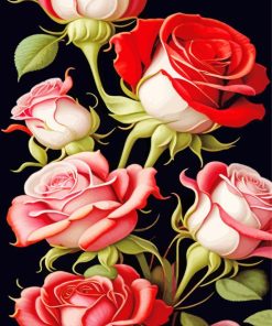 White And Red Roses Paint By Numbers