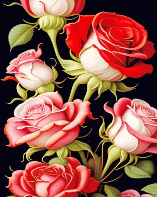 White And Red Roses Paint By Numbers