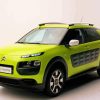 Green Citroen Cactus Car Paint By Numbers