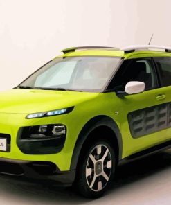 Green Citroen Cactus Car Paint By Numbers