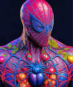 Healthy Spider Man Paint By Numbers