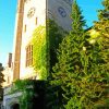 Johnston Clock Tower Guelph Paint By Numbers