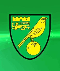 Logo Football Norwich City Sport Paint By Numbers