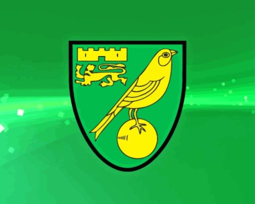 Logo Football Norwich City Sport Paint By Numbers