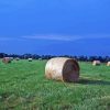 Round Hay Bales In Field Paint By Numbers