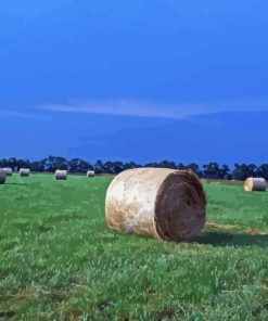 Round Hay Bales In Field Paint By Numbers