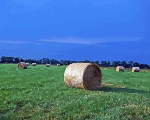 Round Hay Bales In Field Paint By Numbers