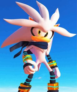 Silver The Hedgehog Sonic Paint By Numbers