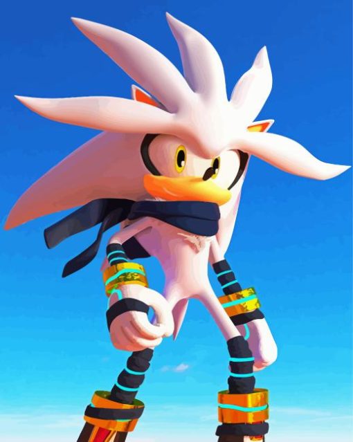 Silver The Hedgehog Sonic Paint By Numbers