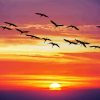 Sunset Geese Flying Paint By Numbers