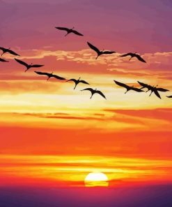 Sunset Geese Flying Paint By Numbers