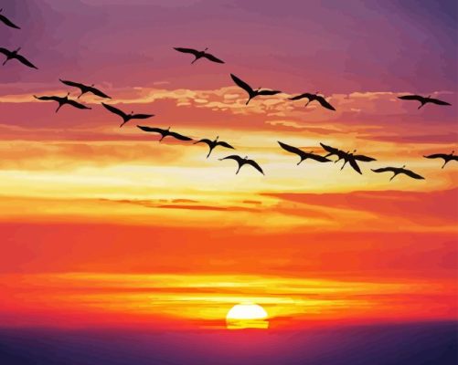 Sunset Geese Flying Paint By Numbers