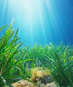 Underwater Grass Paint By Numbers