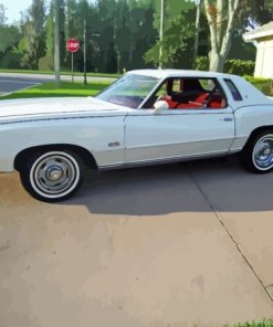 76 Monte Carlo White Car Paint By Numbers