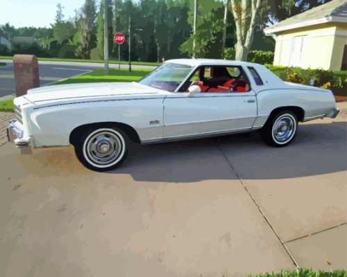 76 Monte Carlo White Car Paint By Numbers