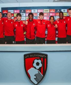 Afc Bournemouth Team Players Paint By Numbers