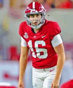 Alabama Crimson Tide Player Paint By Numbers