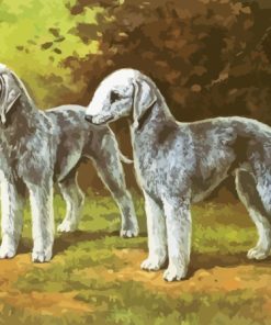 Bedlington Terrier Dogs Paint By Numbers