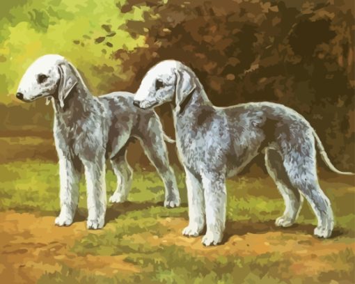 Bedlington Terrier Dogs Paint By Numbers