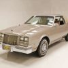 Beige Buick Riviera Car Paint By Numbers