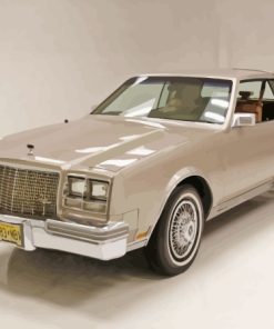 Beige Buick Riviera Car Paint By Numbers