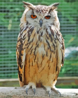 Beige Eurasian Eagle Owl Bird Paint By Numbers