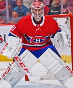 Carey Price Ice Hockey Player Paint By Numbers