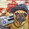 Cool Pug Dog With Radio Paint By Numbers