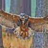 Flying Eurasian Eagle Owl Paint By Numbers