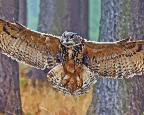 Flying Eurasian Eagle Owl Paint By Numbers