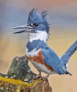 Grey Belted Kingfisher Paint By Numbers