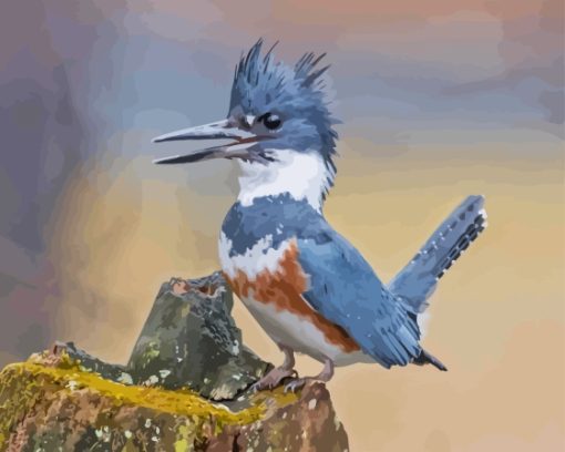 Grey Belted Kingfisher Paint By Numbers