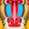 Illustration Baboon Head Paint By Numbers