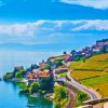 Lavaux Vineyard In Vevey Paint By Numbers