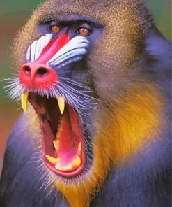 Mad Baboon Paint By Numbers