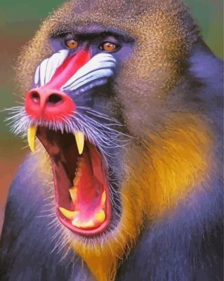 Mad Baboon Paint By Numbers