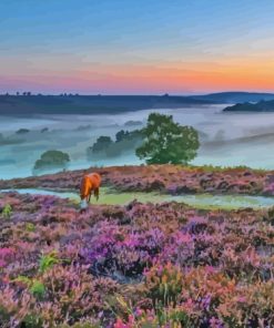 New Forest National Park Paint By Numbers