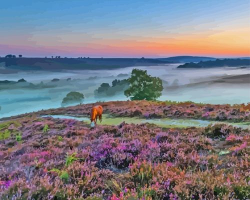 New Forest National Park Paint By Numbers