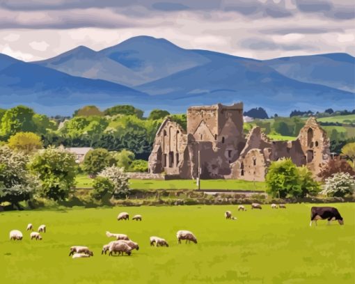 Old Building In Tipperary Ireland Paint By Numbers