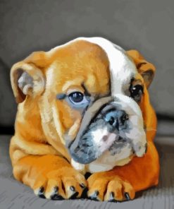 Old English Bulldog Dog Paint By Numbers