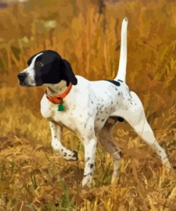 Pointer Hunting Dog Paint By Numbers