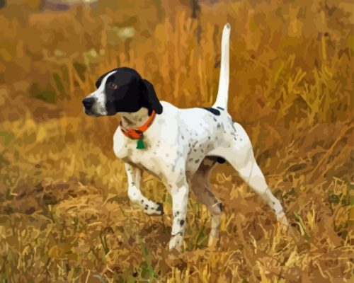 Pointer Hunting Dog Paint By Numbers