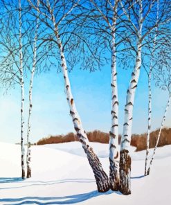 Snow White birches Paint By Numbers