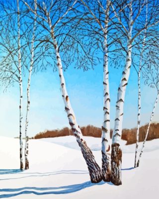 Snow White birches Paint By Numbers