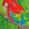 Splash Parrot Art Paint By Numbers