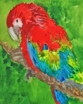 Splash Parrot Art Paint By Numbers