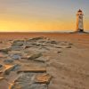 Wales Talacre Pont Of Ayr Lighthouse Paint By Numbers