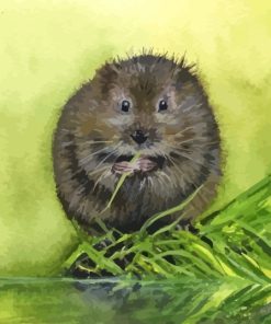 Water Vole Paint By Numbers