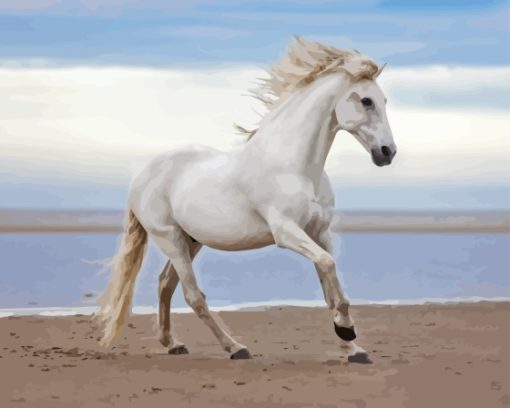 White Horse At Beach Paint By Numbers