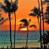 Beautiful Sunset In Waikiki Beach Paint By Numbers